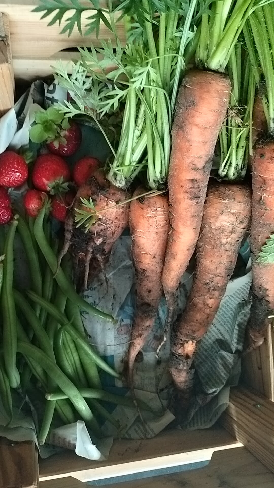 Wat is homesteading?